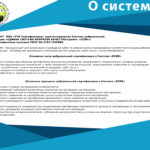 О-системе